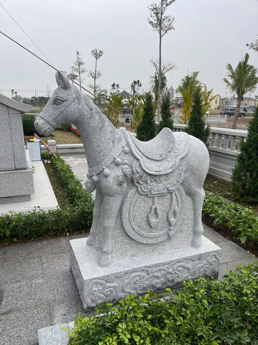 Ngựa